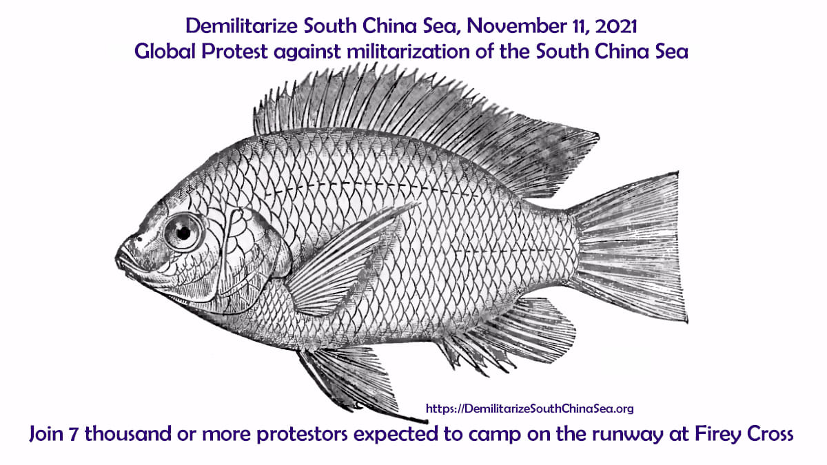 Demilitarize South China Sea